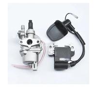 Modulo accensione CDI Carburatore 13 Mm + Bobina Accensione Per Motori A 2 Tempi Da 43 Cc, 47 Cc E 49 Cc, Moto Per Cross, Quad, Scooter, Per X1 Per X2 Per X6 X8