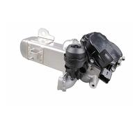 Modulo AGR 12 V Programmazione Necessaria METZGER Per Altri FORD KUGA