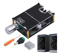 Modulo Amplificatore Audio, Modulo Amplificatore Mono 100W, Accessorio Audio Senza Fili per Auto, Casa ed Eventi Esterni