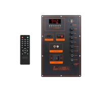 Modulo Amplificatore Audio Mono Stereo per Esterni con Altoparlante Trolley e Scheda Amplificatore DSP- Ad Alta Potenza da 100 W