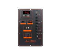 Modulo Amplificatore Audio per Esterni DSP- Ad Alta Potenza da 2 X 50 W, Altoparlante per Carrello, Amplificatore Stereo A Doppio Canale