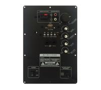 Modulo Amplificatore PM100 per Cassa Acustica - Ricambio Audio per Altoparlanti e Diffusori