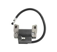Modulo bobina di accensione a combustione efficiente per Quantum 5HP 590454 8025