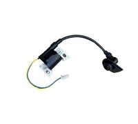 Modulo bobina di accensione adatto for generatore inverter ESE 2000T 2000 ESE-2000T ESE2000T