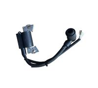 Modulo Bobina di accensione Adatto for Tosaerba/Macchine da Giardino NP100/P57 NH130 NH150, Parti di Ricambio