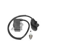 Modulo bobina di accensione BM6A Candela adatta for FS120 FS120R FS200 FS250 FS300 FS350 BT120C BT121 FR35 41344001301