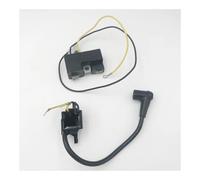 Modulo Bobina di accensione Magneto Vecchia Sezione Adatto for Motosega 51 55 61 66 162 250 254 266 268 272 (Vecchi Modelli)