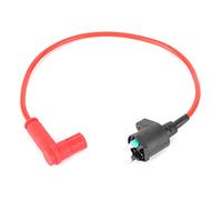 Modulo Bobina di Accensione per GX22 / 200cc 250cc Pit Quad Moto Bobina Alta Tensione per Motore Ignition Coil Module per Fuoristrada