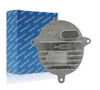 Modulo Centralina LED per Luce Diurne Sinistra Daylight OEM 63117381449