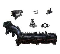 Modulo collettore aspirazione con Guarnizioni PARTSTEC Competenza IAM adatto a