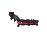 FAST FT00628 Collettore di aspirazione