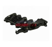 Modulo Collettore Aspirazione Fast FT50402 per Citroën Fiat