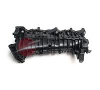 Modulo collettore aspirazione per BMW 1 2 3 4 5 X1 X3 X5