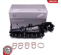 Modulo collettore aspirazione per BMW 2 3 4 5 7 X3 X4 X5