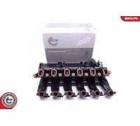 Modulo collettore aspirazione per BMW 3 5 6 X3 X5
