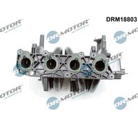 Modulo collettore aspirazione per RENAULT CLIO KANGOO MEGANE