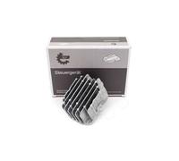 Modulo Comando Fari LED Sinistro Per Mercedes-Benz Classe S A2229069104