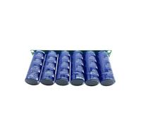 Modulo condensatore for autoveicoli 16V 133F regolatore di tensione ausiliario