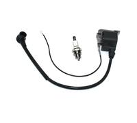 Modulo di accensione adatto for 51 55 50 154 254 257 262 261 268 272 3120 250PS PS50 240R 245RX 250RX 3000CB KS412 PP415