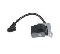 Modulo di accensione adatto for RBC30SBSA RBC30SESA BBL30MVA OEM 5131000650