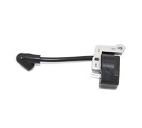 Modulo di accensione adatto for soffiatore/aspiratore RY09550 RY09551 RY09050 RY09053 850108006