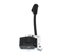 Modulo di accensione adatto for soffiatore/aspiratore RY09550 RY09551 RY09050 RY09053 850108006