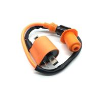 Modulo Di Accensione Bobina Di Accensione Ad Alta Pressione Per Moto ATV Quad Dirt Pit Bike CG ZJ D8TC Da 50 Cc, 125 Cc, 150 Cc, 200 Cc. Bobina Accensione Spark Coil