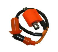 Modulo Di Accensione Bobina Di Accensione Per ATV Quad Go Kart Buggy Dirt Pit Bike Racing 125cc 150cc 200cc 250cc 4 Ruote Bobina Accensione Spark Coil