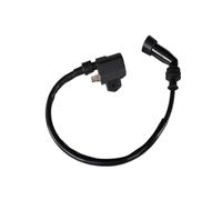 Modulo Di Accensione Bobina Di Accensione Per Suzuki 125cc 150cc AN QS 125 150 Scooter Elettrico AN125 HS125T AN150 QS150 QS125 Bobina Accensione Spark Coil
