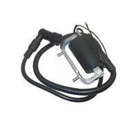 Modulo Di Accensione Per Bobina Di Accensione DAX CT70 ST70 50 CHALY CF50 CF70 6V Bobina Accensione Spark Coil