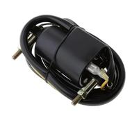 Modulo Di Accensione Per Bobine Di Accensione Universali Moto Per Suzuki 33410-44X50 33410-44120 33420-44120 33410-45012 33410-45010 33420-45010 Bobina Accensione Spark Coil