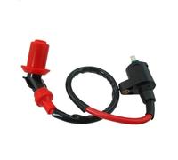 Modulo Di Accensione Per GY6 125cc 139QMB 157QMJ 50cc 150cc 250cc Hammerhead Carter Joyner Scooter Ciclomotore ATV Racing Bobina Di Accensione Bobina Accensione Spark Coil