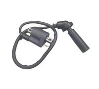 Modulo Di Accensione Per Hyosung Gt250 GD250R GV125 GV250 GT125 RX125 XRX125SM RT125 HG5 HK3 HM8 Accensione Bobina Cappuccio Candela Cavo Protezione Bobina Accensione Spark Coil