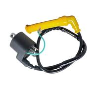 Modulo Di Accensione Per Rincon 650 TRX650 2003 2004 2005 Bobina Di Accensione E Per La Sostituzione Del Cappuccio Della Candela 30500-HN8-003 30700-HN8-003 Bobina Accensione Spark Coil