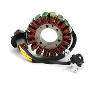 Modulo Di Accensione Per SeaDoo 800 951 GTX GSX SPX RX XP 1995 1996 1997 1998 1999 2000 2001 2002 2003 Statore Magneto 290886588/420886588 Bobina Accensione Spark Coil