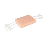 Modulo di addestramento delle iniezioni del modello della vena di ritorno del sangue per il modello di addestramento della sutura della