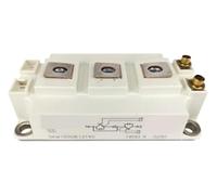 Modulo di alimentazione ad alte prestazioni SKM150GB12T4G per una conversione energetica efficiente (SKM100GB12T4G)