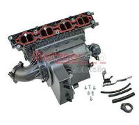 Modulo Di Aspirazione Originale METZGER 2100034 Per Opel