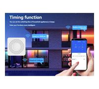 Modulo di commutazione relÃ¨ Zigbee 10A 3 canali AC100-240V Funziona con Alexa Home Mini Smart