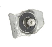 Modulo di dosaggio, iniezione di urea per BOSCH per ACCESS BUS II 7.79 2006-2013