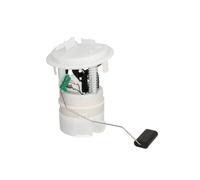 Modulo di erogazione del carburante MAGNETI MARELLI 313011313155