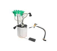 Modulo di erogazione del carburante MAGNETI MARELLI 313011313181