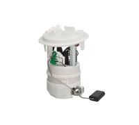 Modulo di erogazione del carburante MAGNETI MARELLI 313011313281