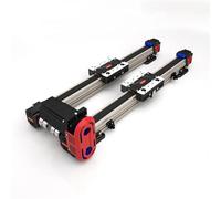 Modulo di guida lineare silenzioso con carrelli doppi, slitta alternativa con trasmissione a cinghia elettrica(With motor,700mm Stroke)