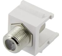 Modulo di installazione coassiale Renkforce Keystone RF-KS-KOAX (RF-4848603)