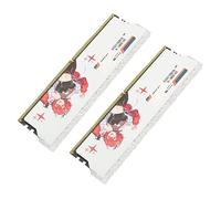 Modulo di Memoria Desktop RAM DDR4 con Dissipazione del Calore XMP2.0 3600 MHz per PC Desktop (16 GB (2x8 GB))