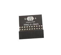 Modulo di Protezione LPC un 20 Pin per TPM-L R2.0/Gigabyte GC-TPM2.0 Modulo Trust Platform Compatibile un 20 Pin 20-1 L2P7