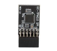 Modulo Di Sicurezza Crittografia TPM 2.0 GA 12 Pin 2 X 6p Con Interfaccia SPI Per Scheda Madre Modulo Di Scheda Remoto Per Protezione Dati
