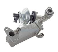 modulo egr