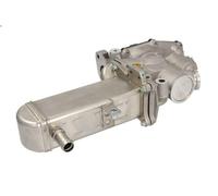 Modulo EGR NRF 48208 per RENAULT SCENIC II (JM0/1_) 1.9 2005-2008
